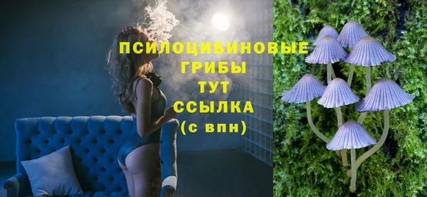 mdpv Богородск
